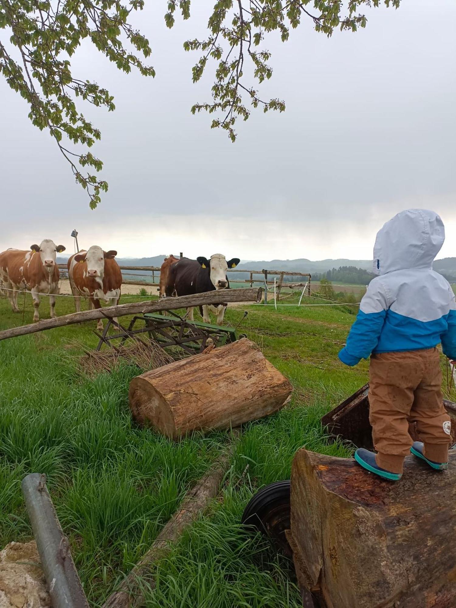 Im Muehlviertler Panorama Vierseithof Lembach im Muhlkreis